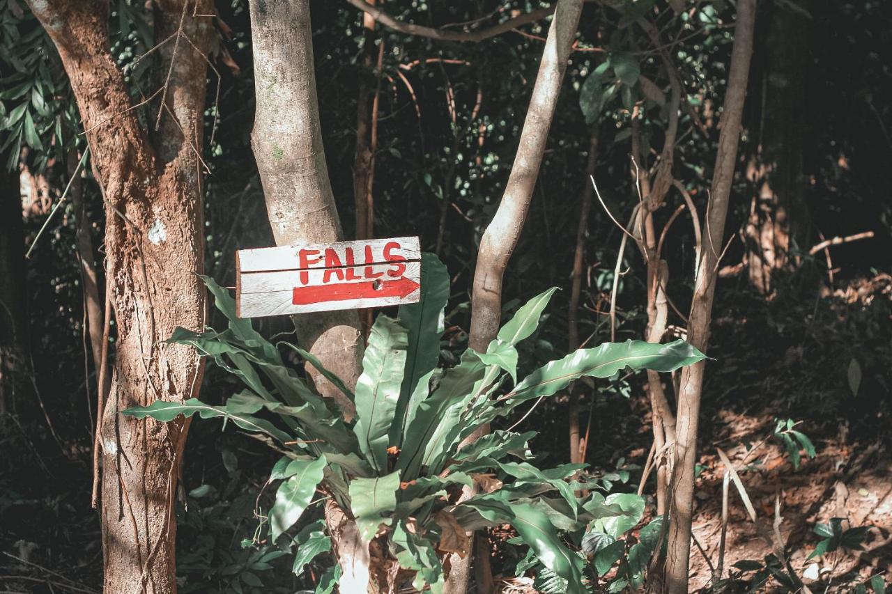 La Vie Adventure Trails Hotel Salabusob Kültér fotó